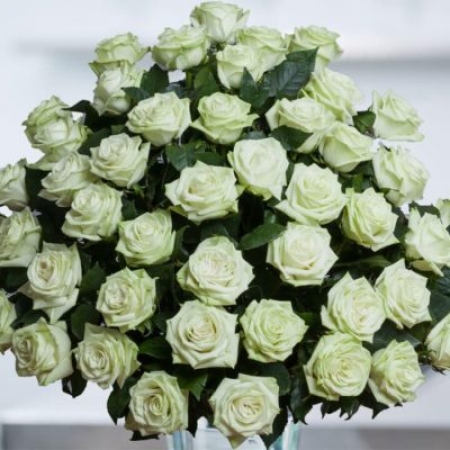 The Color of Your Day - 48 Stems In Bouquet